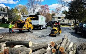 Trusted Oakbrook, KY Tree Services Experts